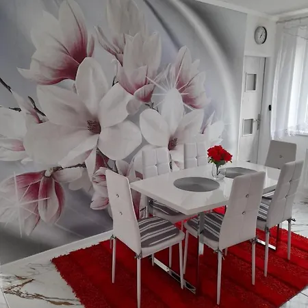 Diana Apartament Wielki Sławków